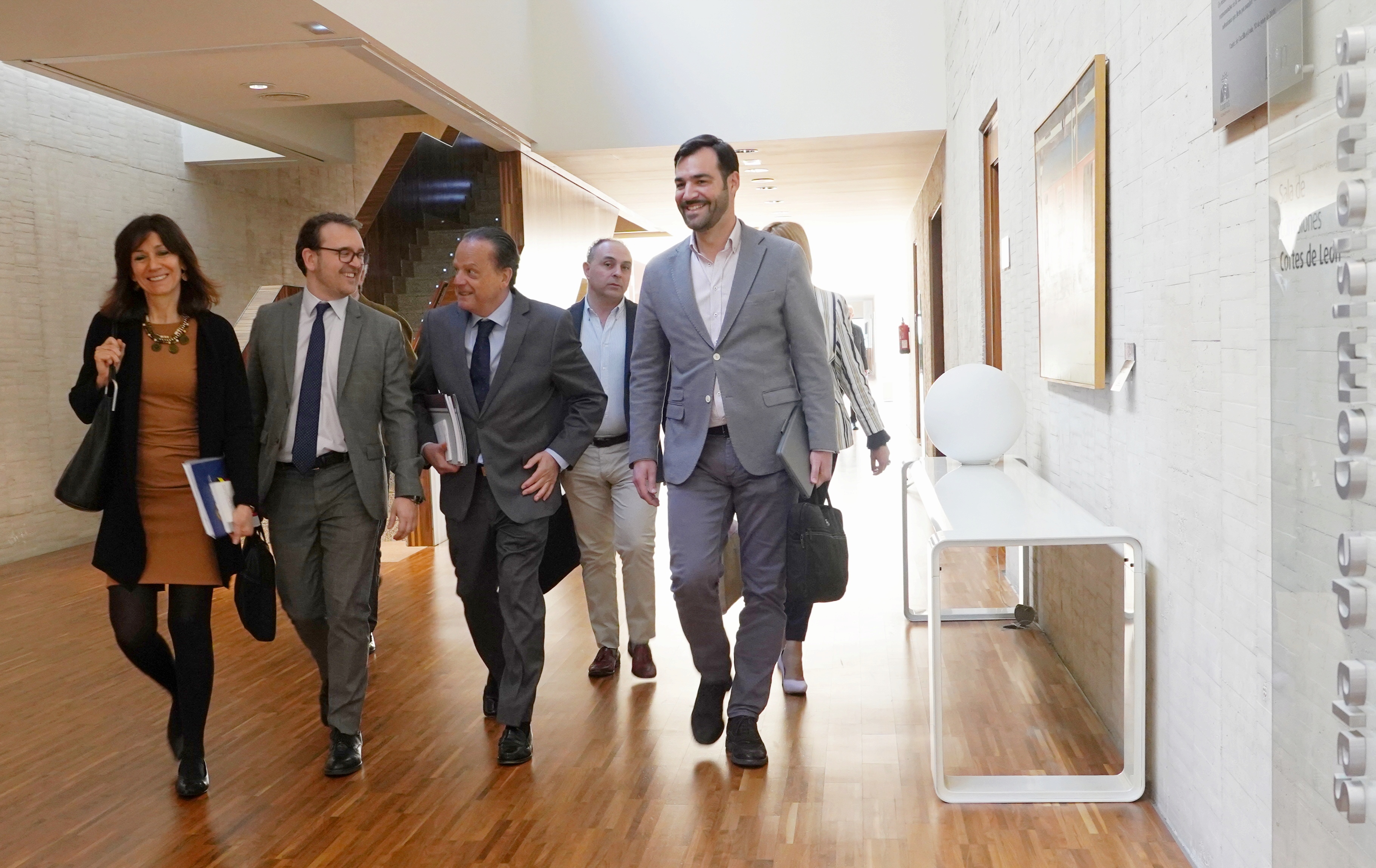 Amilivia a su llegada al Parlamento