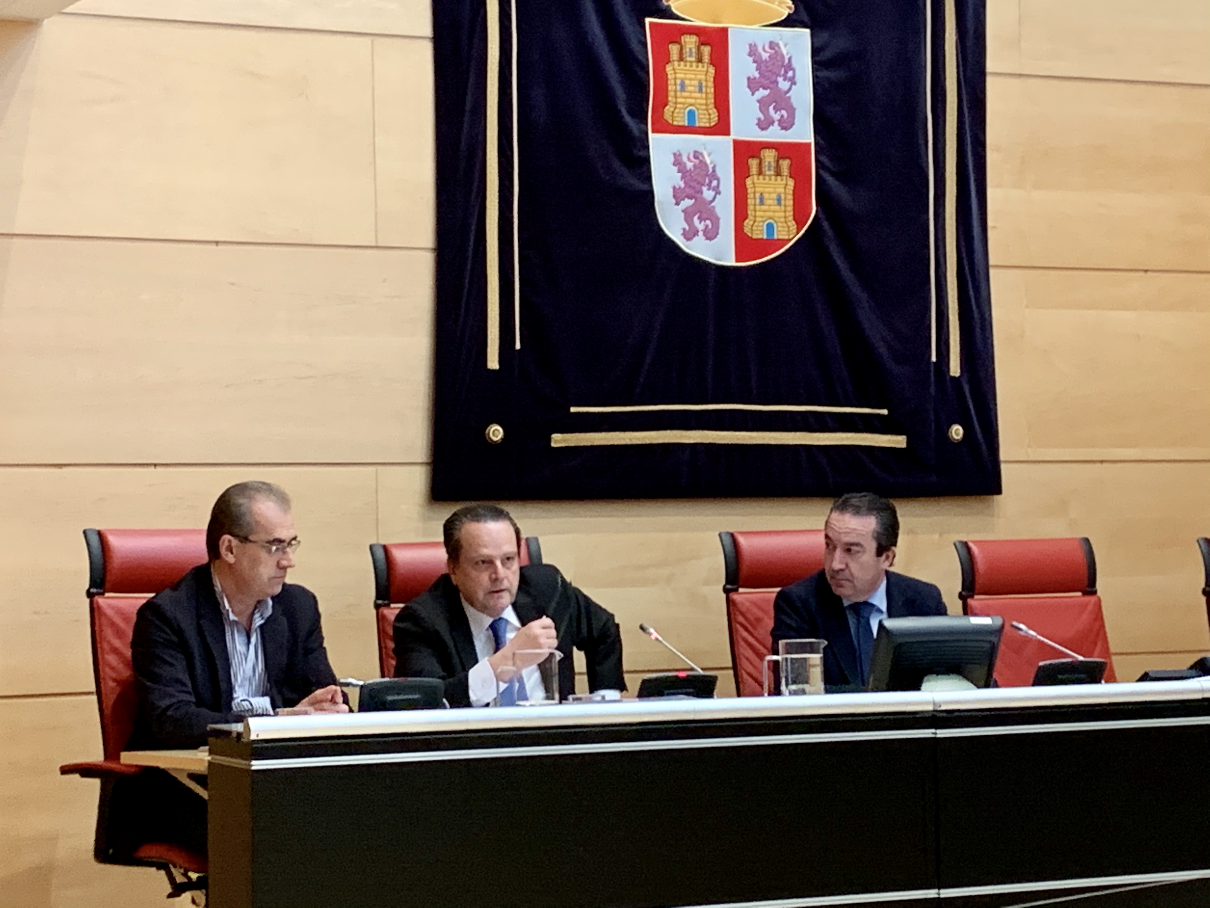 Amilivia, durante la comparecencia de hoy