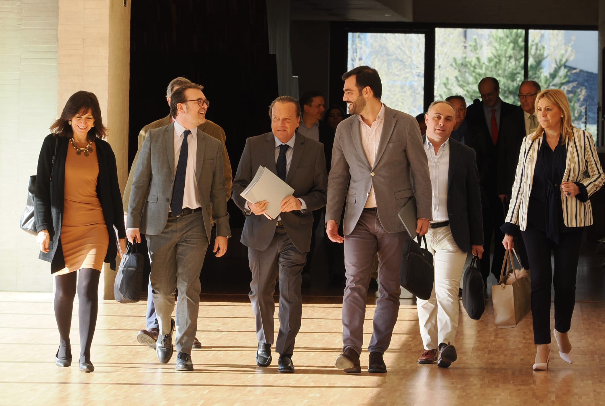 Llegada del equipo del Consejo a las Cortes
