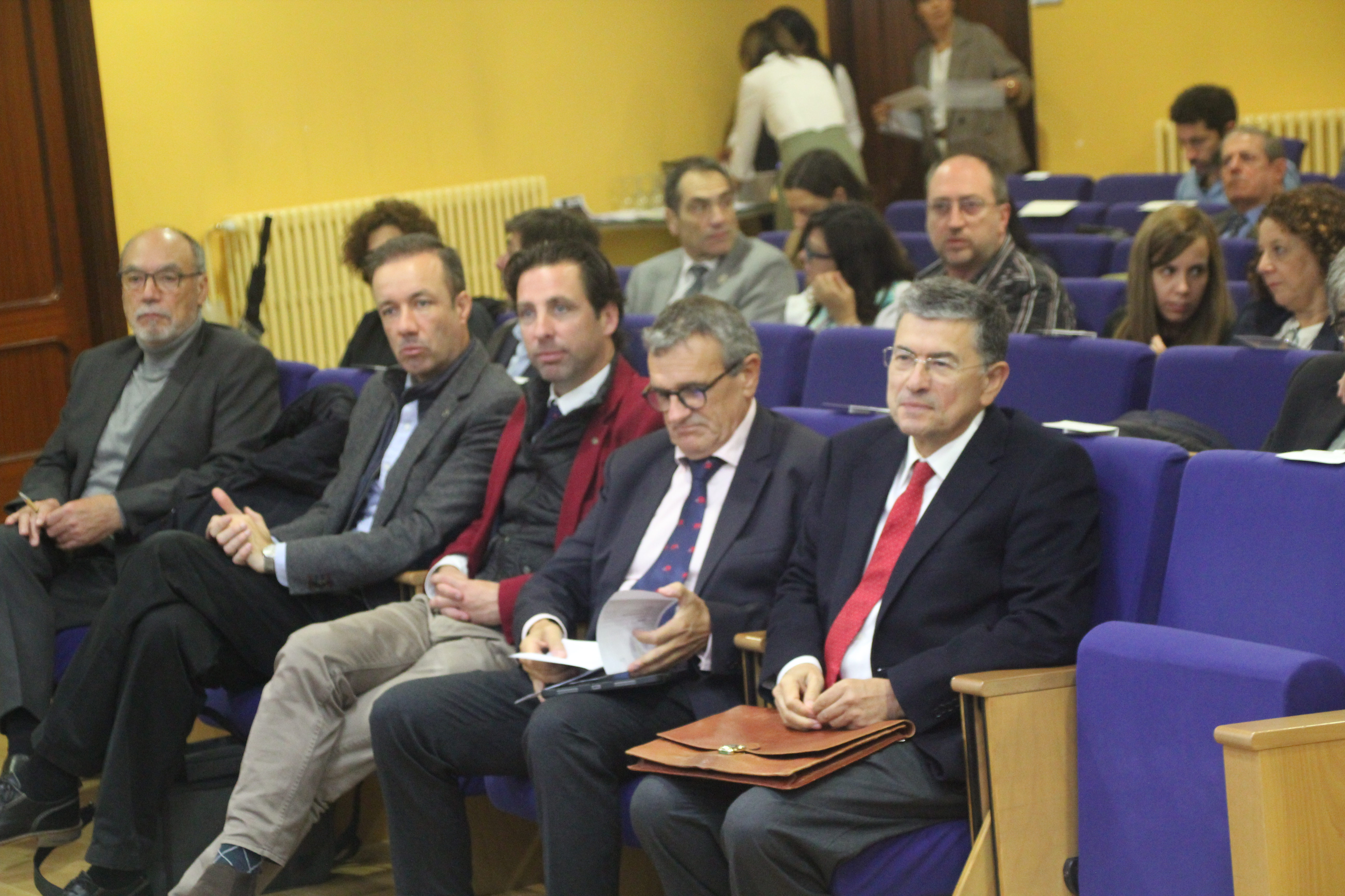 Representantes de los OCEX y del TC
