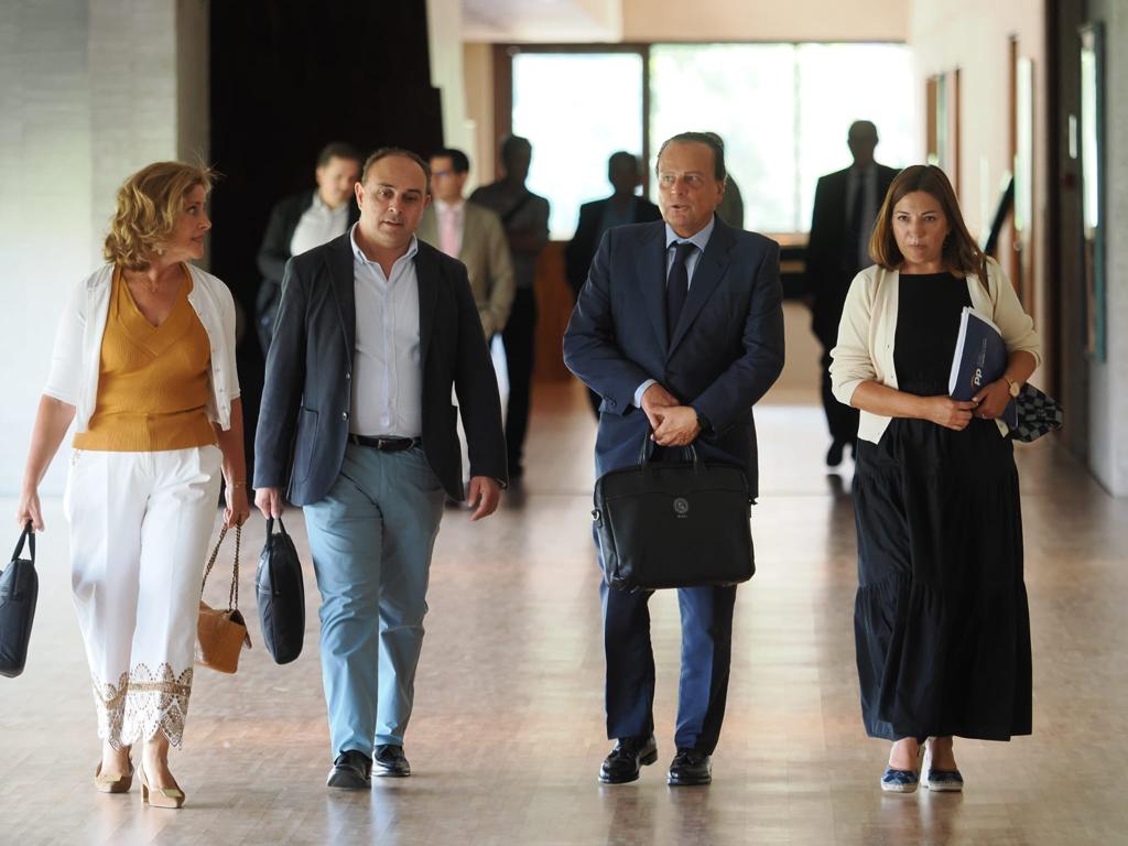 Amilivia a su llegada al Parlamento