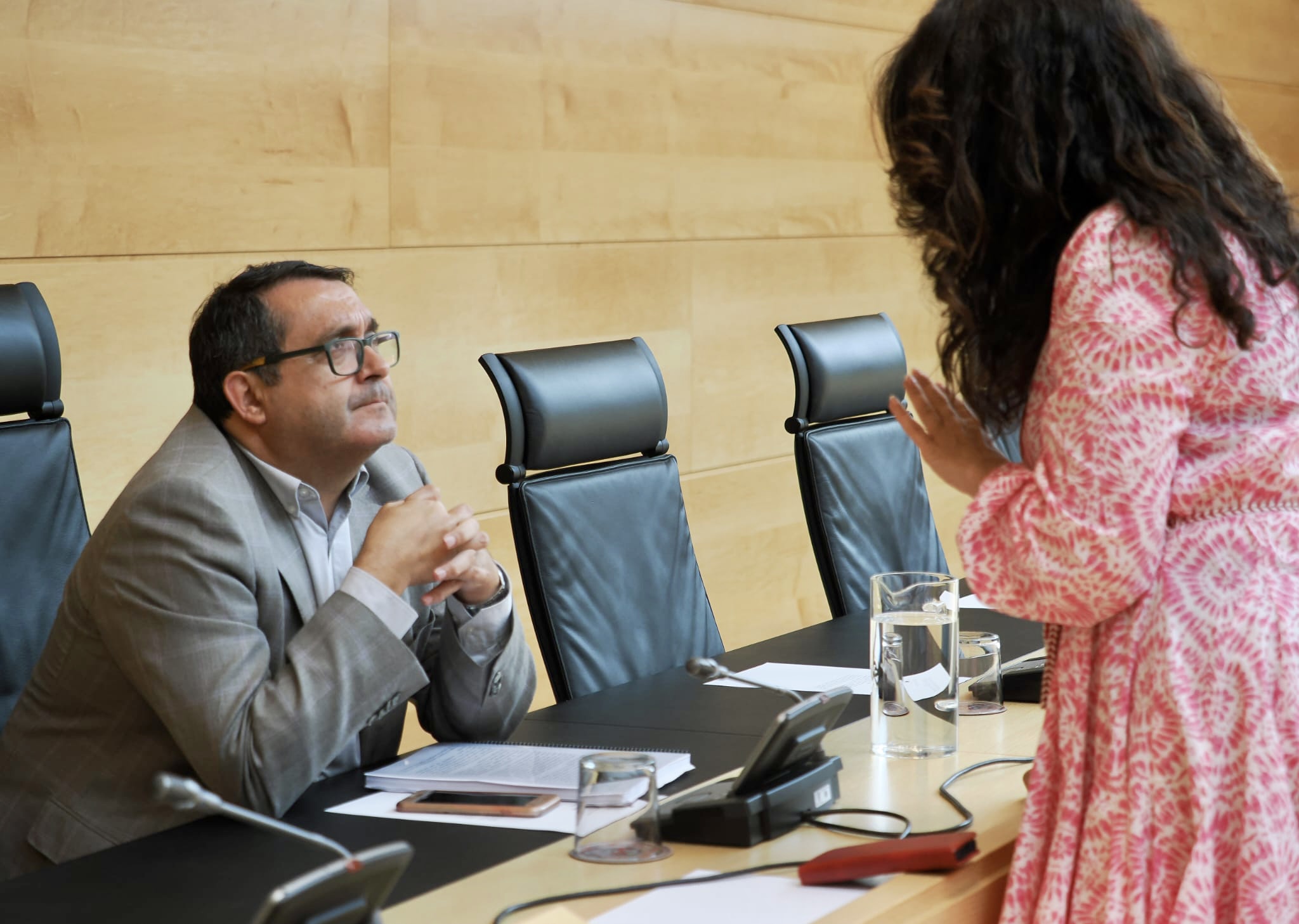 José Luis Cepa, en la Comisión