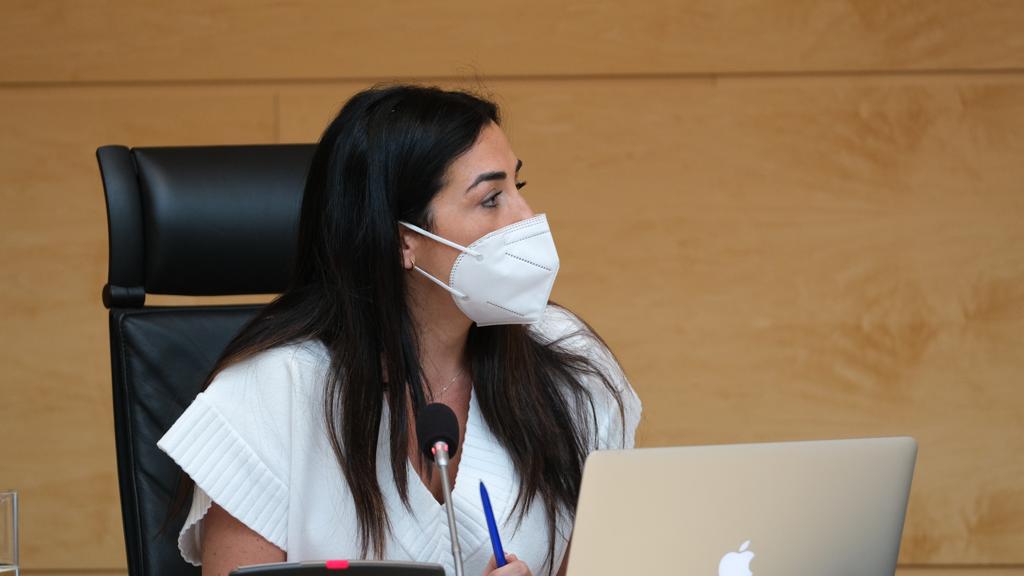 Una de las integrantes del órgano parlamentario