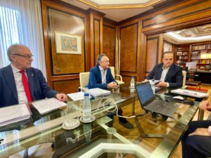 Amilivia preside el Pleno del Consejo