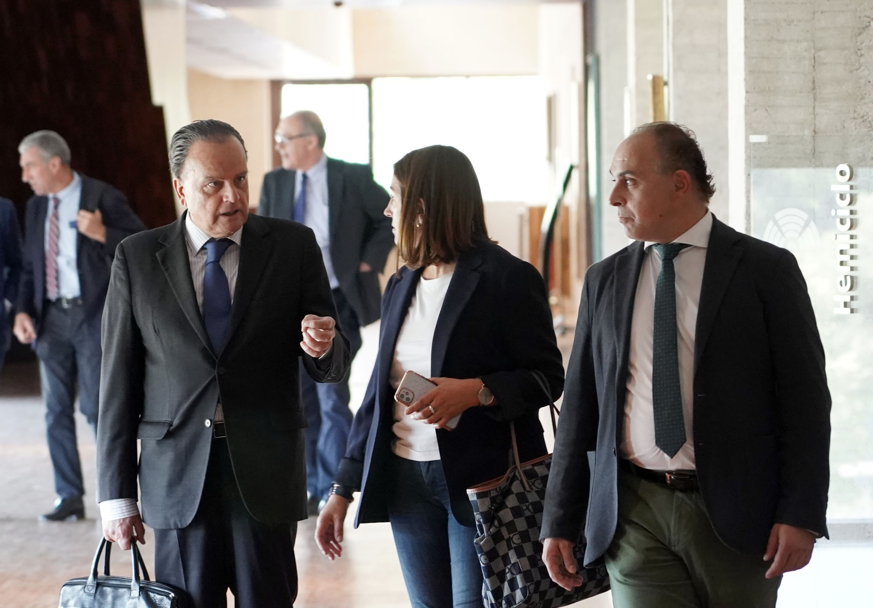 El Pleno del Consejo en las Cortes