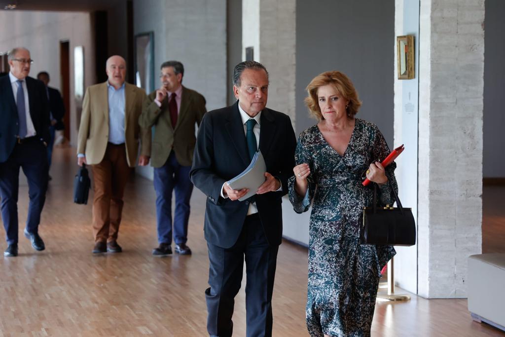 Los miembros del Consejo llegan al Parlamento autonómico