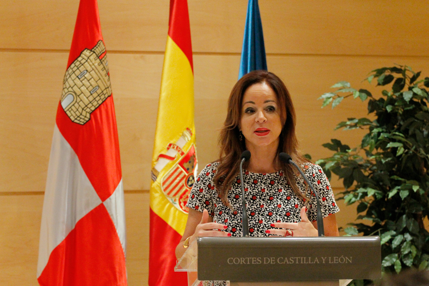 Silvia Clemente