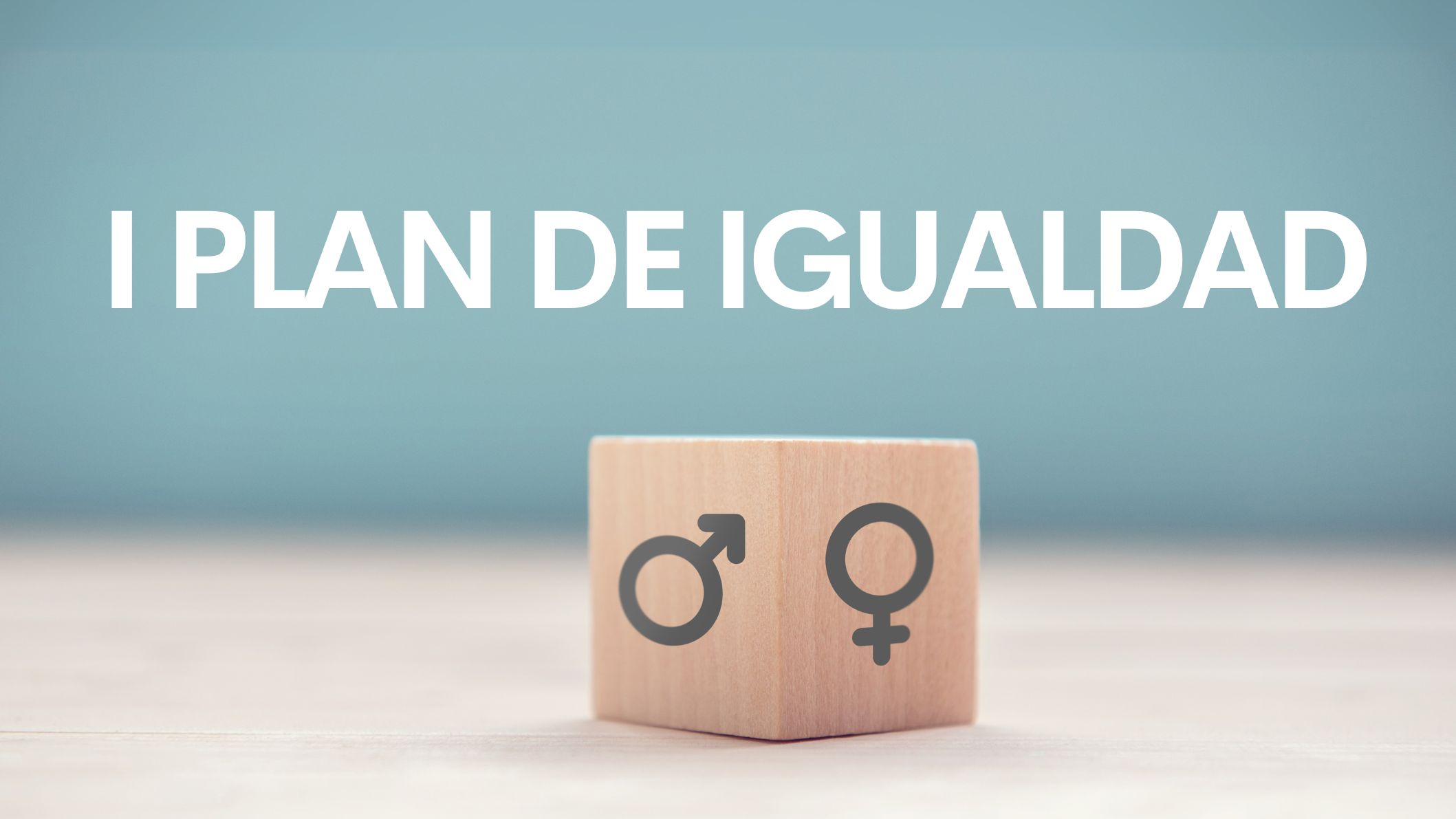Plan Igualdad