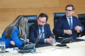 Francisco Carrera (Vox) y otros dos miembros de la Comisión