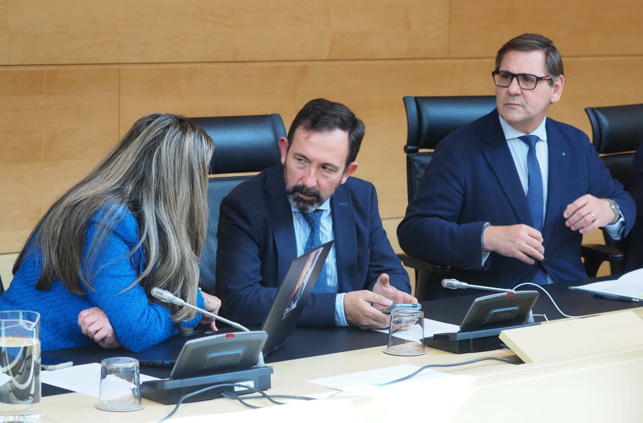 Francisco Carrera (Vox) y otros dos miembros de la Comisión