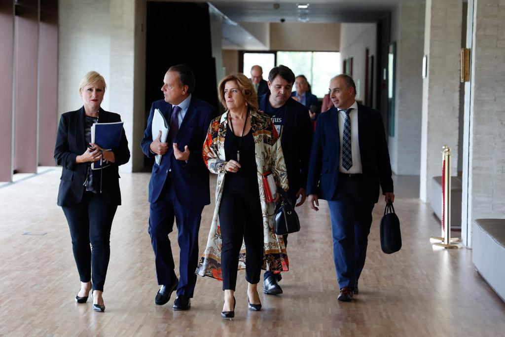 Llegada del presidente y de los miembros de la Comisión a las Cortes