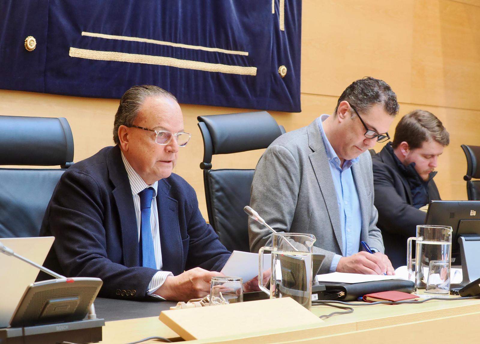 Otra imagen de la Comisión