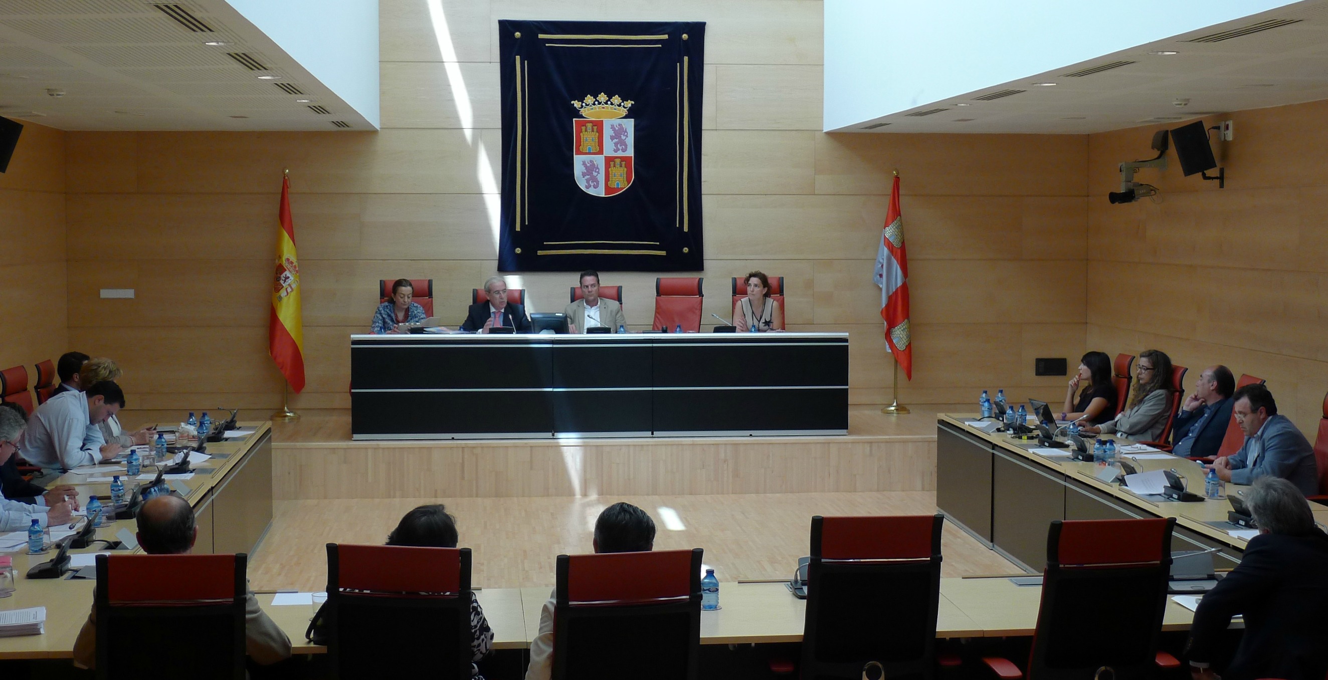 comparecencia en las Cortes